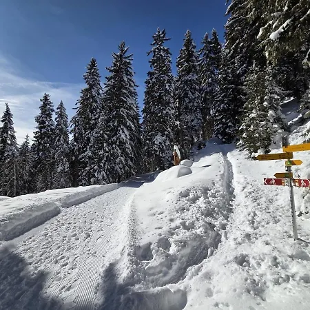 In&out *